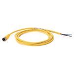 Rockwell Automation 889DS-F4AC-2 DC Micro Style Standard Patch Cord, M12 Connector, 4-Pin Straight Female Connector, 6.56 ft Cable Length