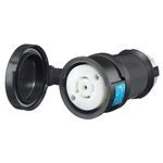Wiring Device-Kellems Twist-Lock® Insulgrip® HBL2513SW 3-Phase Female Isolated Grounding Heavy Duty Shrouded Standard Sized Watertight Locking Connector, 120Y/208 VAC, 20 A, 4 Pole, 5 Wires, Black/White