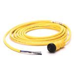 Allen-Bradley 889N-F4AENU-2F Mini Cable, Female, STR, Female, STR, 4 Pins, Std Materials, 4 Pins, Mini / Mini Plus, Male, STR , Mini, STR, Male, Same as First End, PVC Cbl, YEL, UnShld, 18AWG, PVC Cable, YEL, 18AWG, Patchcord, Std, 2 ft