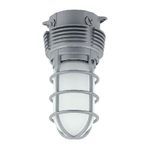 Hubbell® VWGL-1 Lighting Fixture With Globe and Guard, LED Lamp