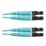 Panduit® Opti-Core® FX2ERLNLNSNM002 OM3 Multi-Mode Riser Rated Fiber Optic Patch Cord, 2 Fibers, 50 um Core, 2 m L
