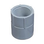 Carlon®  FA12 Female Adapter, 1/2 in, PVC