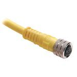 Rockwell Automation 889P-F4ABDM-1 Pico Style Standard Patch Cord, M8 Connector, 4-Pin Straight Female x 4-Pin Straight Male Connector, 3.28 ft Cable Length
