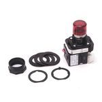 Rockwell Automation 800H-QRTH2R Pilot Light, 12 to 130 VAC/VDC