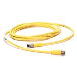 Rockwell Automation 889P-F3ABPM-3 Pico Style Standard Patch Cord, M8 Connector, 3-Pin Straight Female x 3-Pin Straight Male Connector, 9.84 ft Cable Length