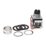 Rockwell Automation 800T-QT10 Pilot Light, 120 VAC/VDC