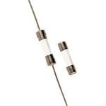 Ferraz Shawmut GSD2-1/2 Miniature Fast Acting Fuse, 2.5 A, 250 VAC, 1.5 kA Interrupt, Cylindrical Body