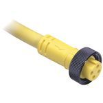 Allen-Bradley 889N-R4HFC-50F Mini Cable, Female, Rt Angle, Female, Right Angle, 4 Pins, Std Materials, 4 Pins, Cable, Cable U.S. Color Code, Same as First End, ToughLink Cbl, UnShld, 16AWG, ToughLink Cable, 16AWG, Cable U.S. Color Code, Std, 50 ft