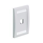 Panduit® Mini-Com® CFPE1WHY Executive Flat Vertical Faceplate, 1 Gang, 1 Port, Mini-Com® Module, Flush Mount, ABS