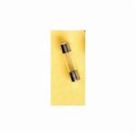 Ferraz Shawmut GSC10 Miniature Time Delay Fuse, 10 A, 125 VAC, 1 kA Interrupt, Cylindrical Body