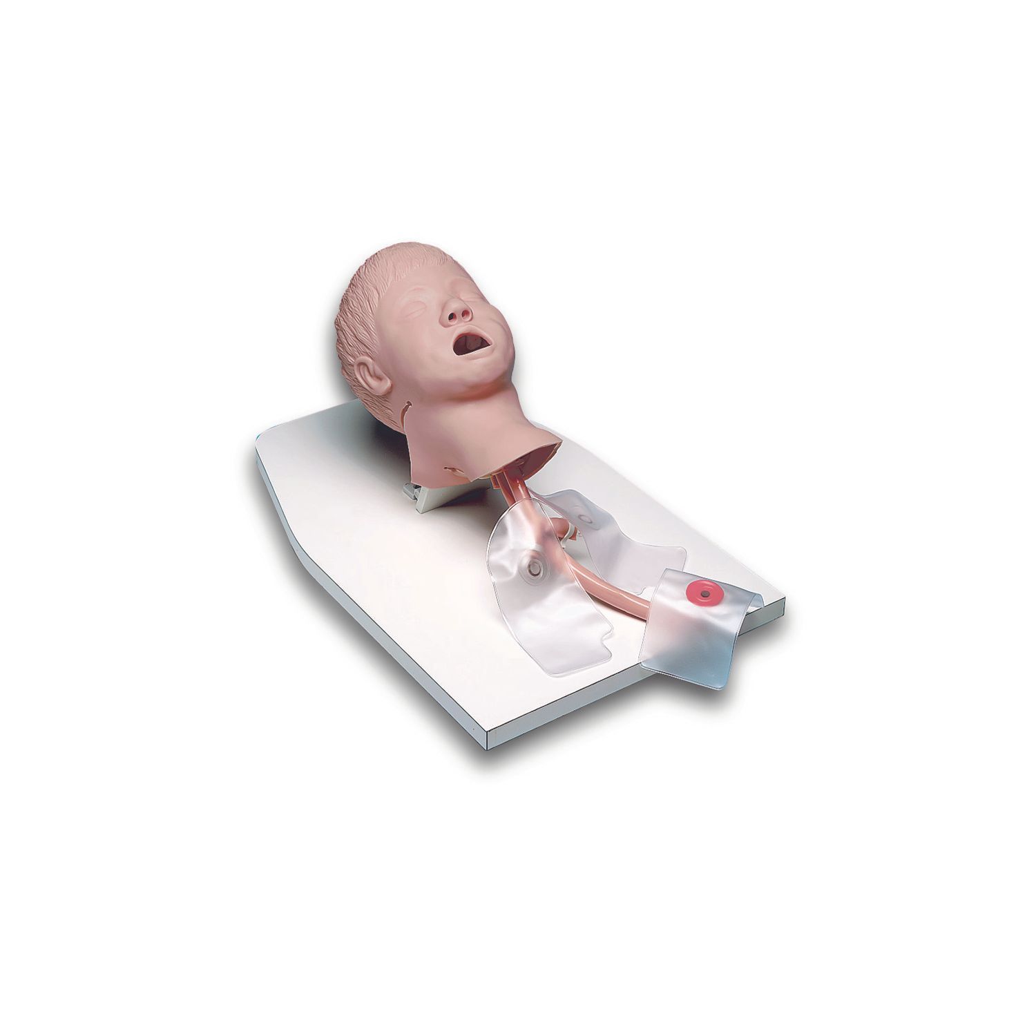 Child Airway Management Trainer with Hard Case | Armstrong Medical