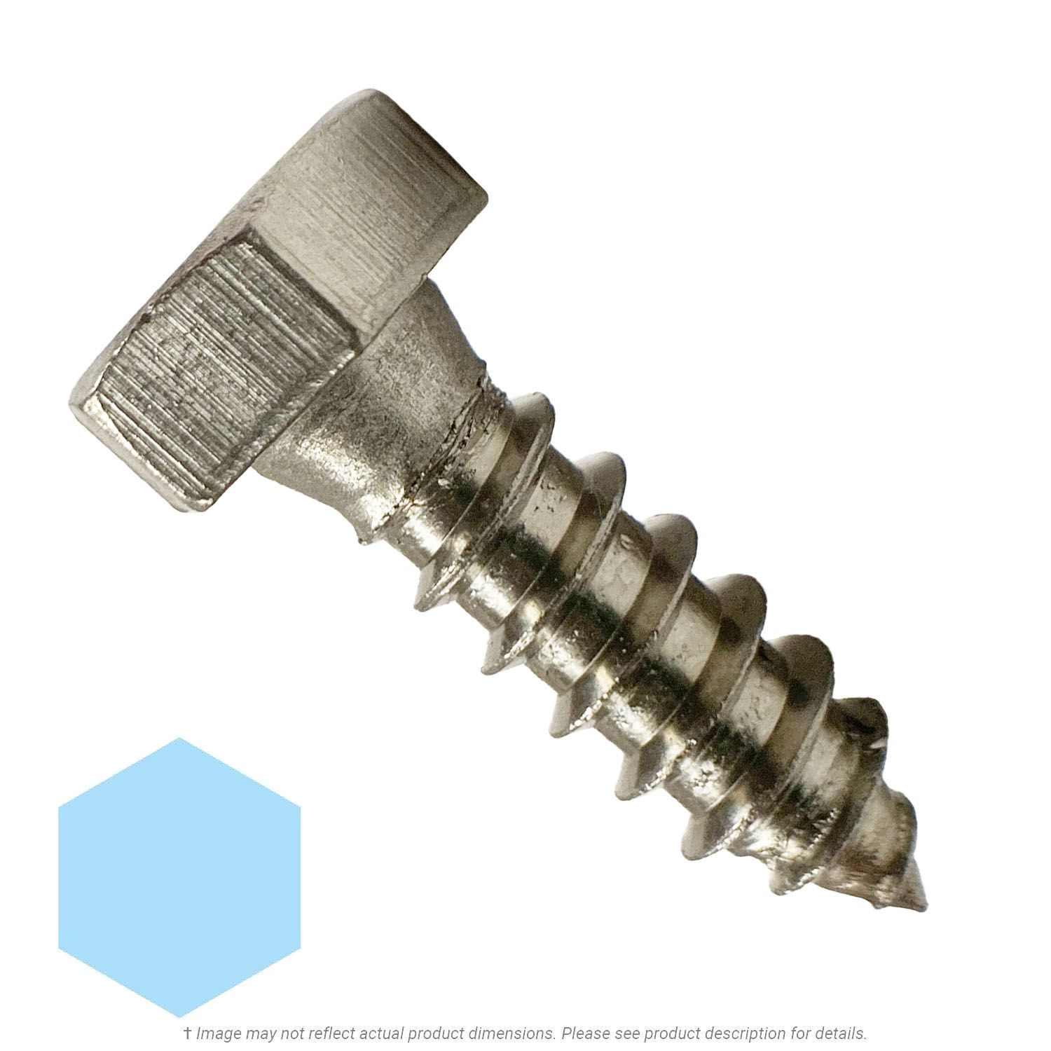 5/16" x 1" Stainless Steel Hex Lag Screw 18-8