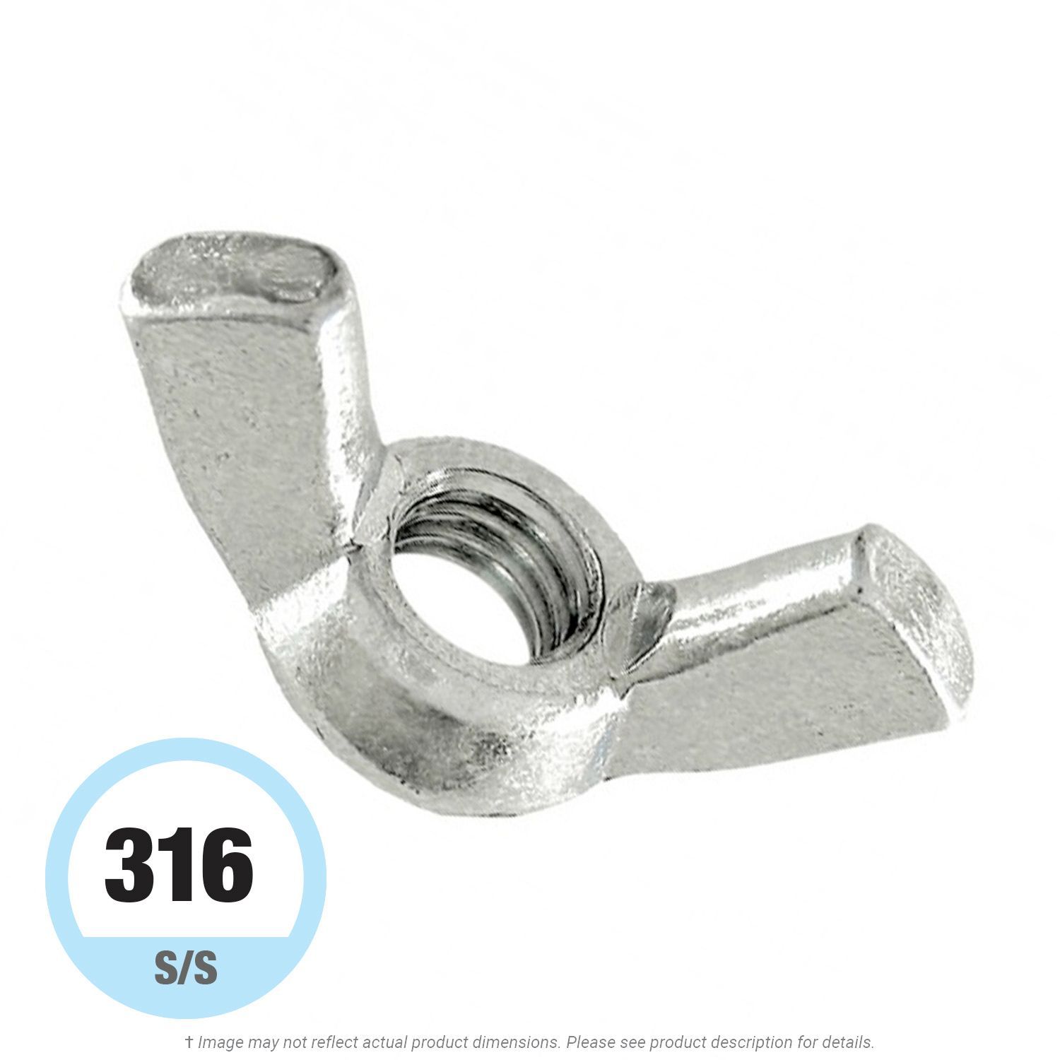 1/4"-20 Stainless Steel Wing Nut 316
