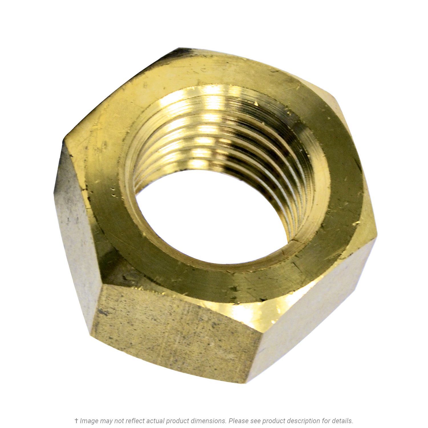 1/2"-20 Brass Finish Hex Nut