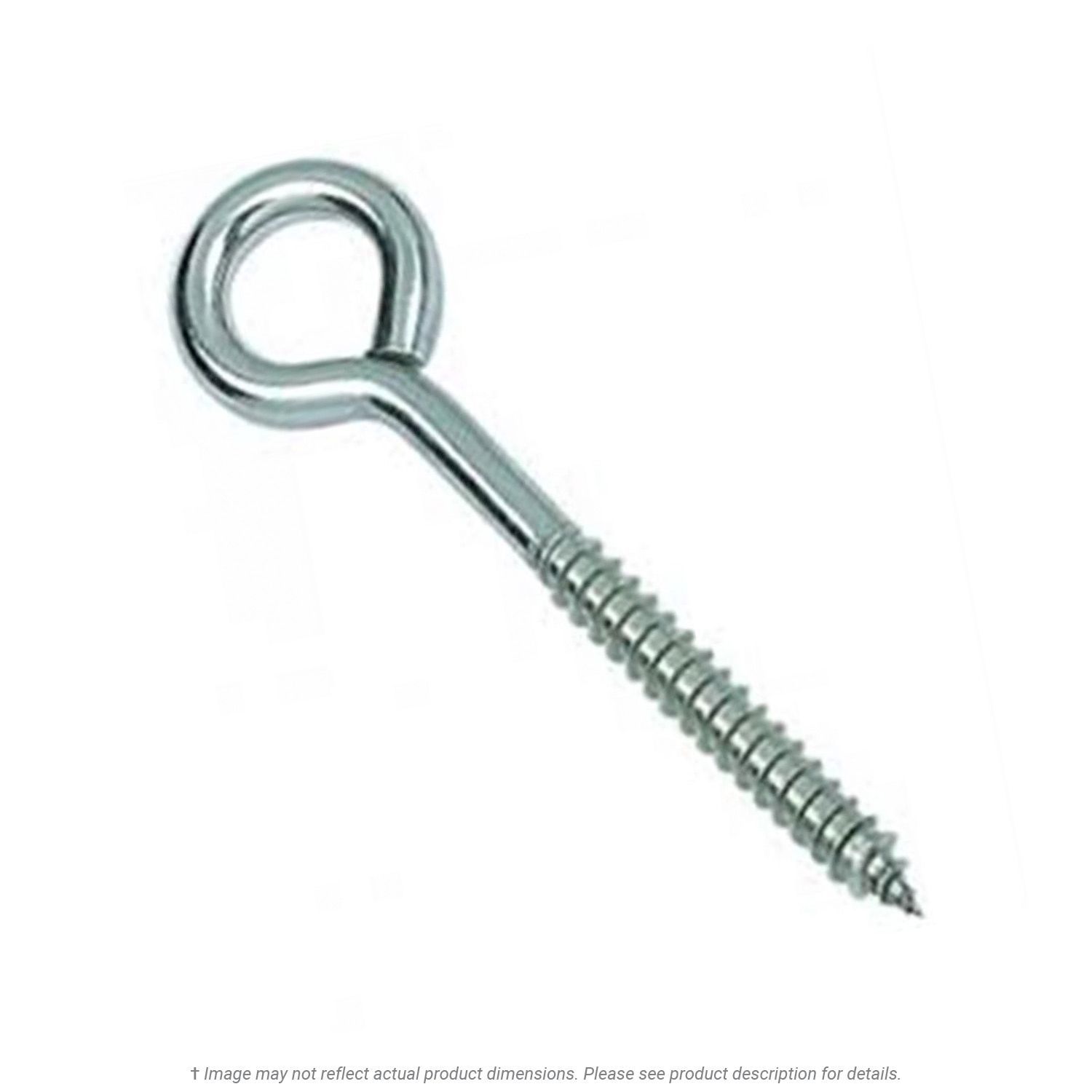 1/4" x 5" Overall Length Stainless Steel Lag Eye Bolt - 10 per Box