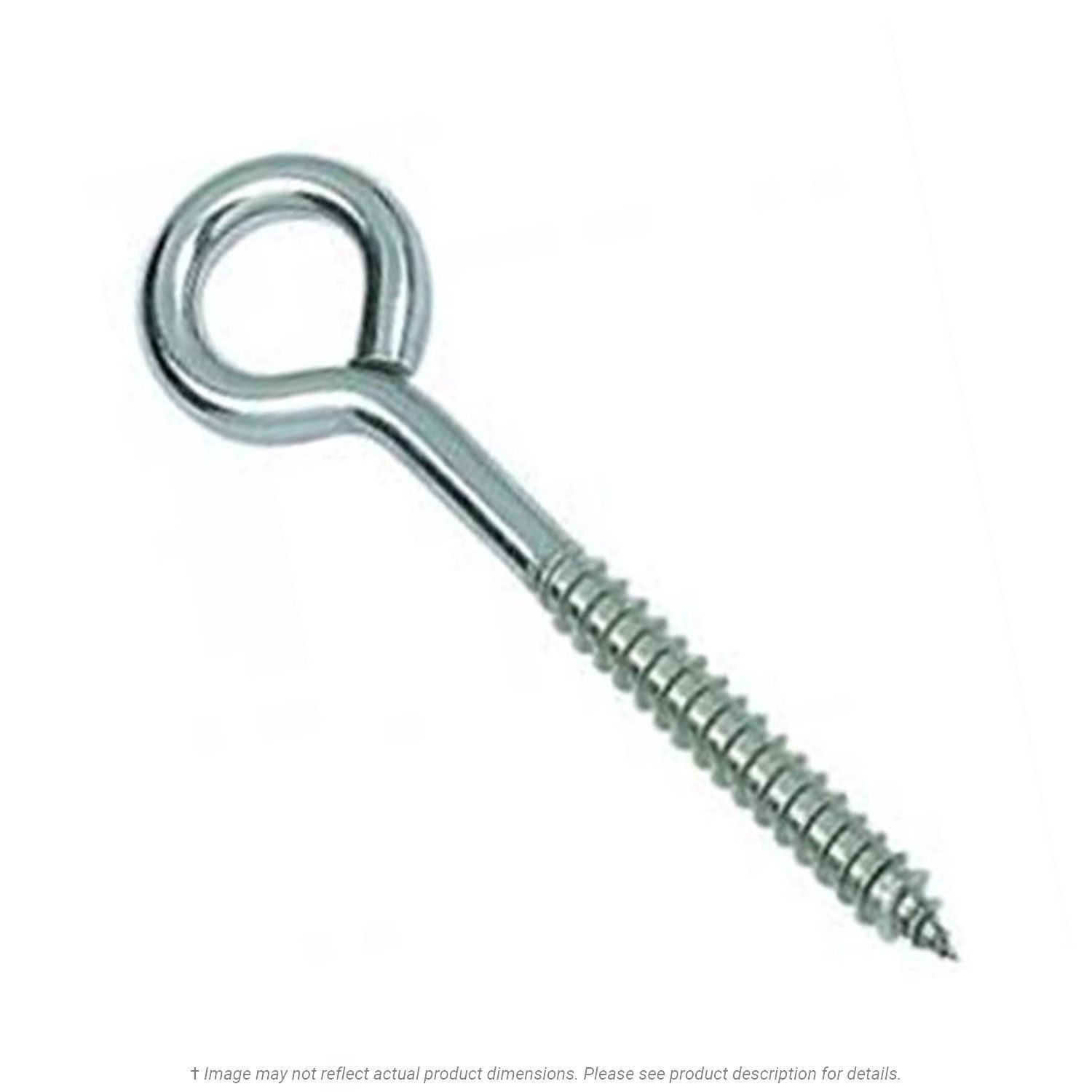 5/16" x 6" Overall Length Stainless Steel Lag Eye Bolt - 10 per Box