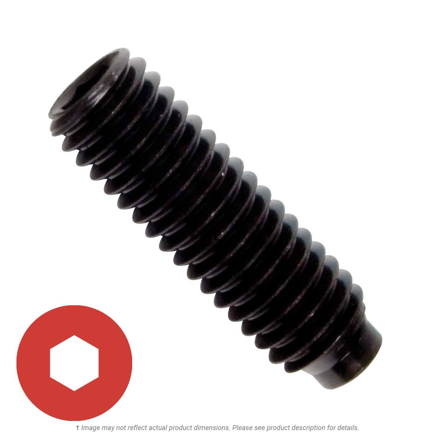 #10-32 x 1/2" Half Dog Point Socket Set Screw