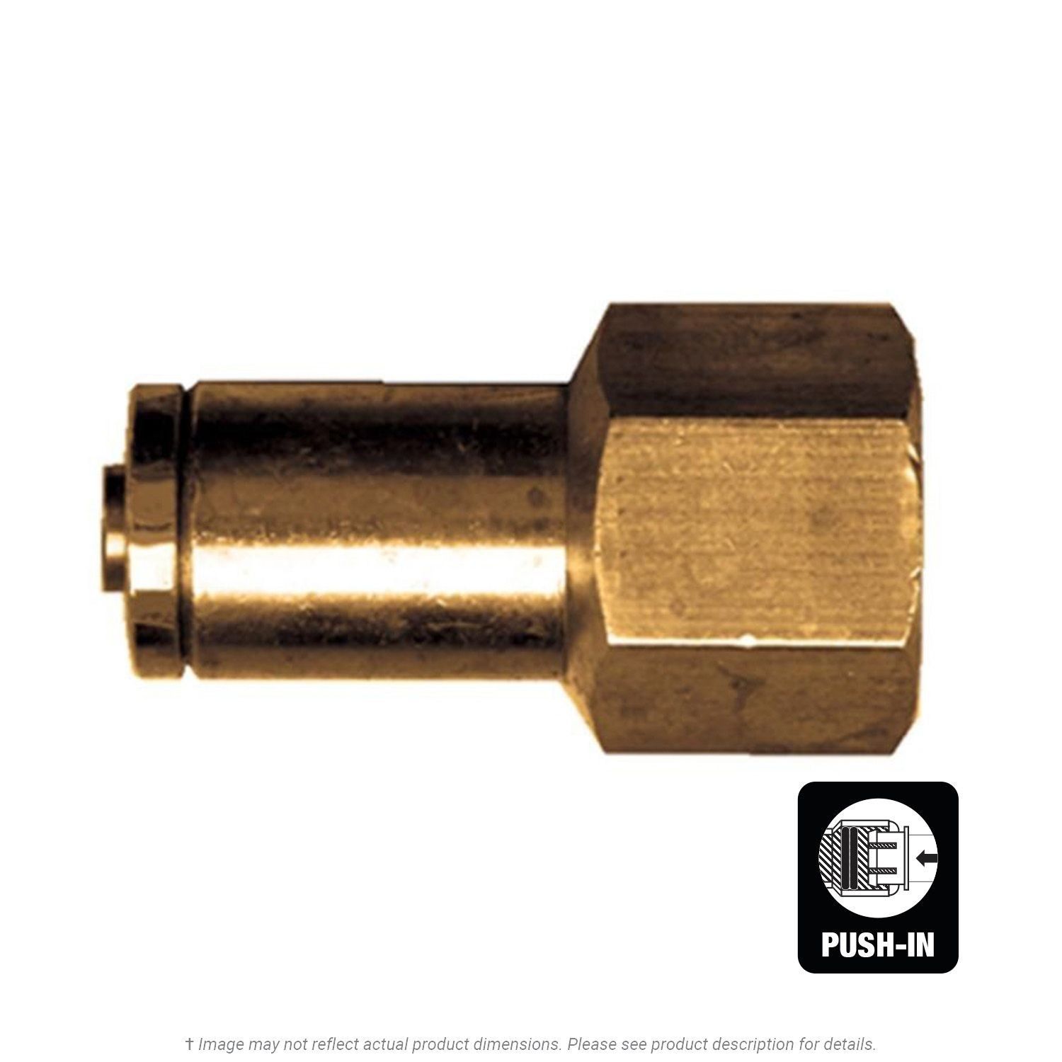 DOT Female Push-To-Connect Connector, 1/4" Tube x 1/8" FPT