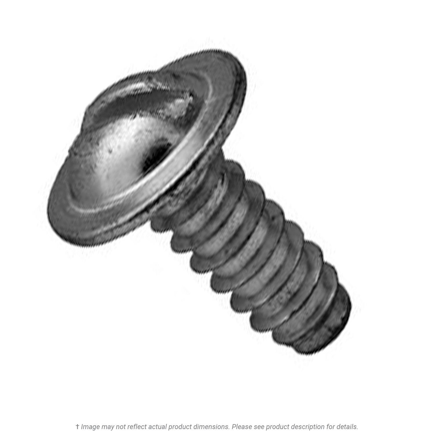 1/4" x 5/8" Slotted Round Washer Head License Screw - 100 per Box