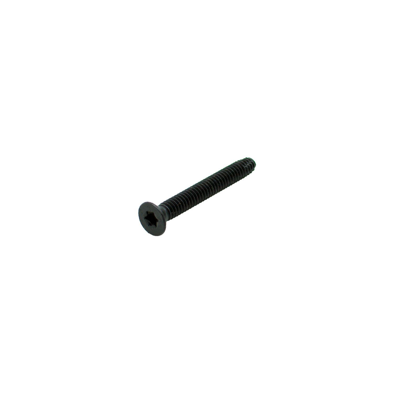 TORX FLAT HEAD TYPE F FLOORBOARD SCREW STS Industrial