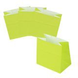 BAG SNACK 3-3/4x2-1/4x3-3/4" PAPER ECO GREEN 100/cs