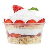 DESSERT CUP 6oz 3-3/4"dia 1-3/4"h PLASTIC CLEAR 500/cs