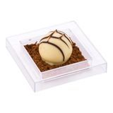 MINI CUBIC PLATE 2-1/2"sq POLYSTYRENE CLEAR 20/cs