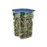 Commercial foodservice essential, camsquare food container 22qt pc freshpro clear/ blue 6ea/cs for reliable daily service, Cambro 22SFSPROCW135