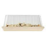 LID F/ POPLAR PLATE 9-1/2"sq 2-3/4"h PET CLEAR 25/cs