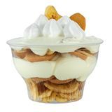 DESSERT CUP 8oz 3-3/4"dia 2-1/2"h PLASTIC CLEAR 500/cs