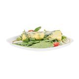PLATE 5-1/4"dia RND BAGASSE NO PFAS COMPOST WHITE 25/cs
