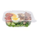 CONTAINER HINGED TAMPER RESIST 12oz 4-3/4x6" PET CLEAR 100/cs