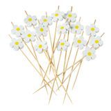 SKEWER BAMBOO 4-3/4" DAISY CMPST WHITE/ NATURAL 100/cs