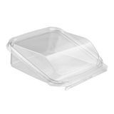 TAKEOUT HINGED 5x5" TAMPER EVID PANORAMIC PET CLR 252/cs