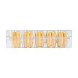 BAKERY BOX MACARON 7-1/2x2-1/2 F/ (5) PET CLEAR 100/cs