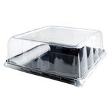 DOME LID 12" SQUARE PETE CLEAR 50/cs