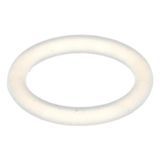 O-RING F/ CRATHCO CS-2D-16