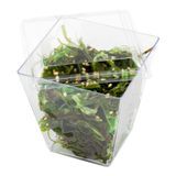 LID F/ LARGE SQ KOVA CUP POLYSTYRENE CLEAR 100/cs