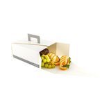 LUNCH BOX W/ HANDLE 9x7x4" PAPER WHITE/ GRAY 100/cs