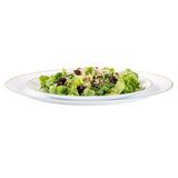 PLATE 10" & 7"dia GOLD RIM MODERNA PLASTIC WHITE 40/cs
