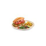 (FD) PLATE 10-1/4" ROUND PULP NO PFAS COMPOST NATURAL 500/cs