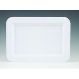 PLATE PLASTIC DISPOSABLE 5x7" RECTANGULAR WHITE 400/cs