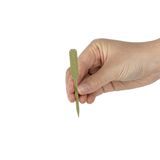 SKEWER BAMBOO 3-1/2" OAR CMPST NATURAL 100/cs