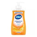 DIAL HAND SOAP ANTIBACTERIAL DEFENSE +ALOE 11oz PUMP 12/cs