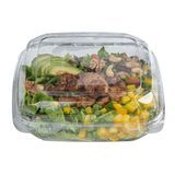 CLAMSHELL CONTAINER 46oz 9x8-1/4x2-1/2" PET CLR 100/cs