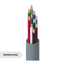 Belden 8456 0601000 Electronic, 10 C #22 Str TC, PVC Ins, PVC Jkt, CMG