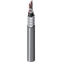 Belden 23522D ACIC 300V, 2 Tri #16 Str TC, XLPE Ins E1, IS/OS, PVC Jkt, AIA Armor, Blk PVC Jkt, 90C Dry/Wet CSA HLBCD SUN RES -40C