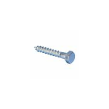 nVent CADDY 42 Hex Head Lag Screw, 1/2