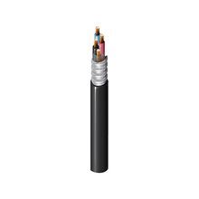 Belden 27254 0105000 MC XLPE/PVC, 2+G C #12+12 Str BC, XLPE Ins E2, AIA Armor, Blk PVC Jkt, 600V MC 90C Dry/Wet SUN RES DIR BUR CT USE