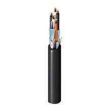 Belden 1075A 01010000 Inst, 2 Pr #20+22 Str BC, PVC Ins E1, IS/OS, Blk PVC Jkt, 300V PLTC ITC-ER CMG